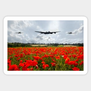 Poppy Flypast Sticker